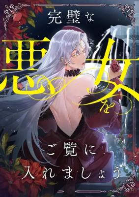 Laisse-moi te montrer la méchante parfaite (FR) Cover Image